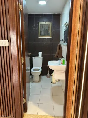 a bathroom with a toilet and a sink at Royal in Amman