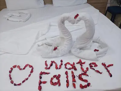 two swans made out of towels on a bed at فندق الشلالات العقبه Waterfalls Hotel Aqaba in Aqaba