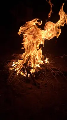 a fire burns on the ground at night at واي رم in Wadi Rum