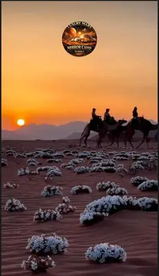 a group of people riding horses in the desert at MARS MIRROR BUBBLE lUXURY CAMP in Wadi Rum