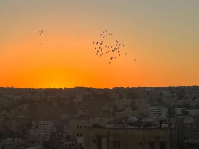 a flock of birds flying over a city at sunset at Modern, fully equipped apartment in Jabal Amman in Amman