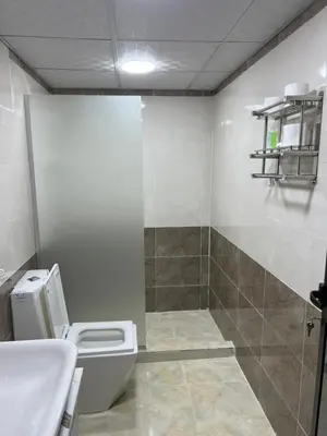 a bathroom with a toilet and a sink and a shower at HOlIDAY LUXURY WADI RUM in Wadi Rum