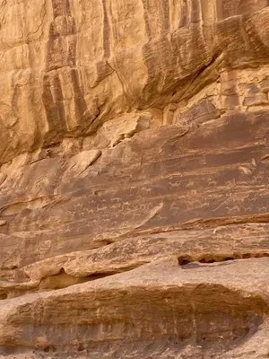 a rock wall in a canyon with a cliffensionalensionalensionalensionalensionalensionalensional at Fig Tree Eco Camp in Disah