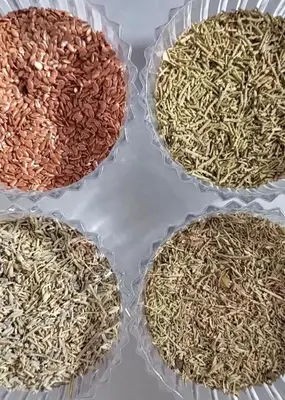 a group of four bowls filled with dried rice at Nassen House in Udhruḩ