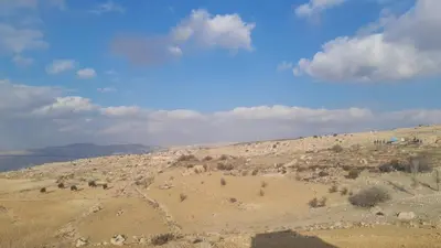 an aerial view of a desert field with trees at Dana local Life Eco lodge in At-Tafilah