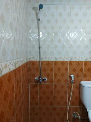 a shower in a bathroom with a toilet at الدونق in Amman