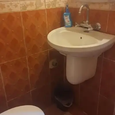 الدونق