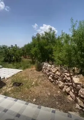 a stone wall and trees in a field at Leith Holiday Home in ‘Ayn Jannā