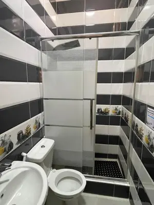 a bathroom with a toilet and a sink at Petra 555 Rooms & Apartment in Wadi Musa