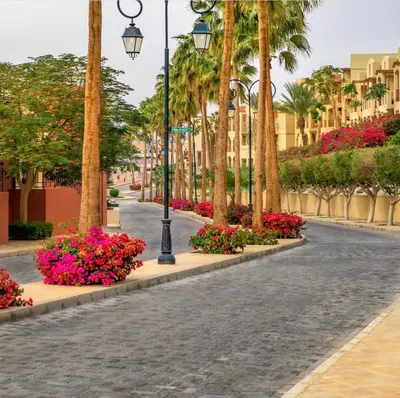 a street with palm trees and flowers and a street light at Talabay two bedroom umniah pool in Aqaba