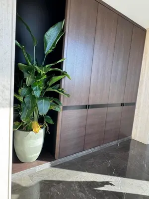 a plant in a pot next to a wooden cabinet at Dabouq Luxurious Penthouse in Amman