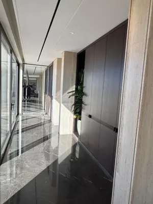 a hallway in a building with a potted plant at Dabouq Luxurious Penthouse in Amman