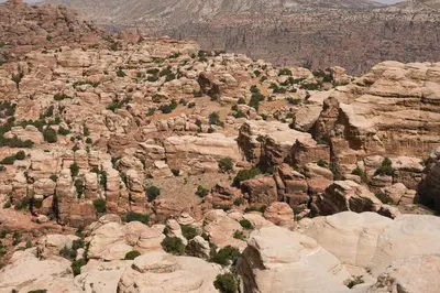 a view of a rocky mountain with trees on it at Dana Trail Hotel in Dana
