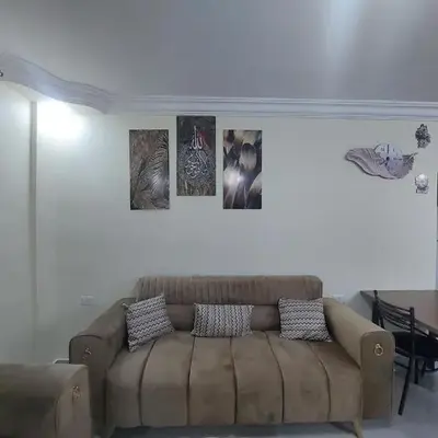 New zarqa