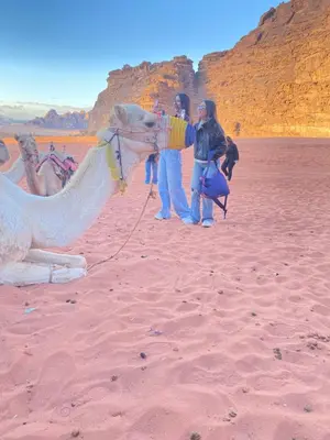 a group of people standing next to a camel on the desert at Green Desert in Wadi Rum
