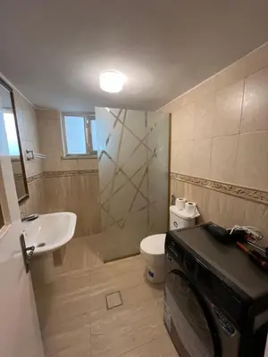 a bathroom with a sink and a toilet and a washing machine at Locations Amman Palm Tree 4 in Ash Shumaysānī