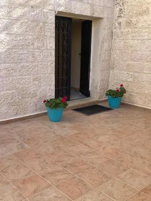 two pots of flowers in front of a door at Family Spacious newly furnished 2 Bedroom 2 bath in Amman