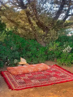 a red rug laying on the ground next to a tree at اذرح فارم in Udhruḩ