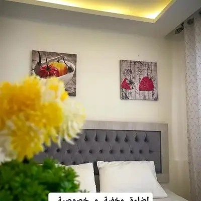 Falcon Real Estate