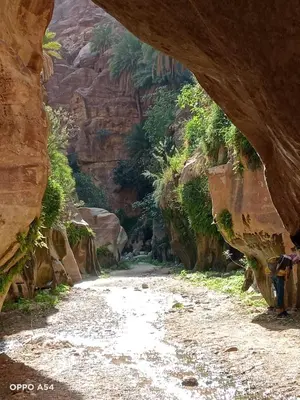 a dirt road through a cave in a canyon at Dana Valley Tourism Hotel in Dana