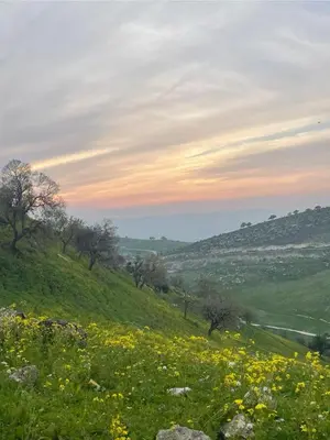 a field of flowers on a hill with a sunset at Reef Palace - Rihab قصر الريف - رحاب in Al Manshīyah