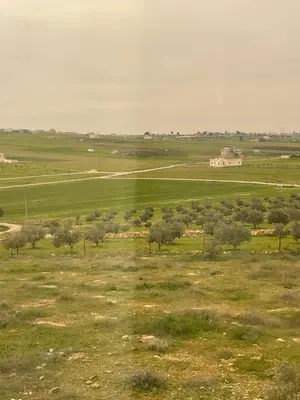 a field with trees and a building in the distance at Reef Palace - Rihab قصر الريف - رحاب in Al Manshīyah