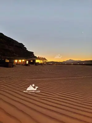 a duck sitting in the sand on a beach at Wadi Rum ZAAD luxury Camp in Wadi Rum
