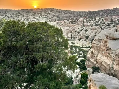 a sunset over a canyon with trees and rocks at Jordan trail from dana to petra in Dana