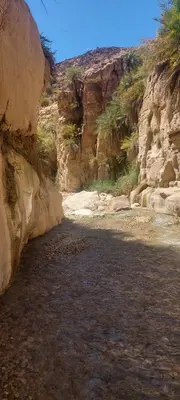 a dirt road in a canyon with some rocks at Jordan trail from dana to petra in Dana