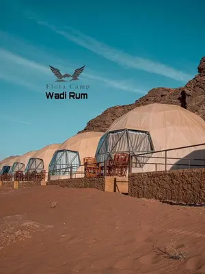 a group of domes in the desert with a bird flying at Flora Camp Wadi Rum in Wadi Rum