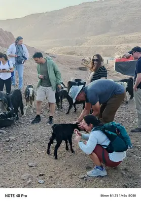 a group of people with dogs and a group of people at Dana to explore Bedouin life in Dana