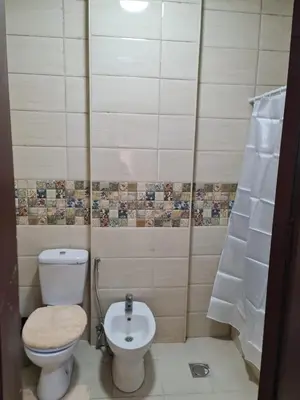 a small bathroom with a toilet and a sink at Samer Apartment in Amman