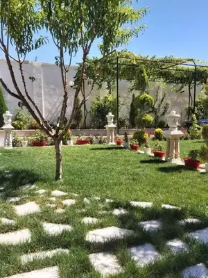 a garden with a tree and rocks in the grass at الزئبق فارم in Maḩaţţat al Ḩafīf