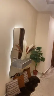 a mirror on a wall next to a potted plant at Sewar hostel in Petra