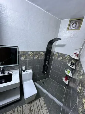a bathroom with a shower with a tv and a toilet at Sewar hostel in Petra