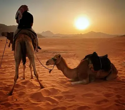 a man riding a camel in the desert at Desert Sands Camp Wadi Rum in Wadi Rum