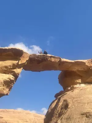 two birds sitting on top of a rock formation at Suleman Bedouin Life Camp in Wadi Rum