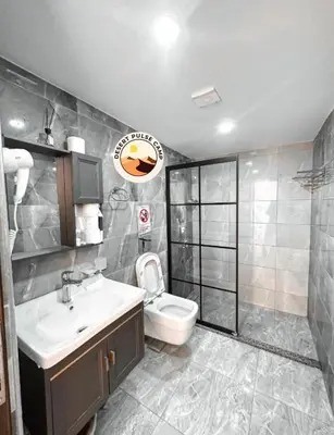 a bathroom with a toilet and a sink and a shower at RUM BULSE BUBBLE lUXURY CAMP in Disah