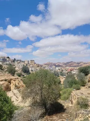 a view of the city of aleppo from a hill at Petra Masterpiece in Wadi Musa