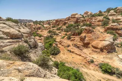 a rocky mountain with bushes and trees on it at Dana bedouin Sky in Dana