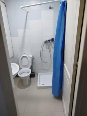 a small bathroom with a toilet and a shower at bong chalet in Amman