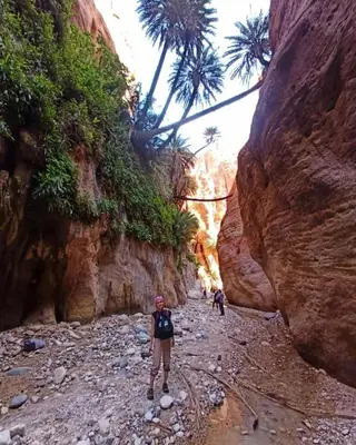 a man standing on a rocky trail in a canyon at Dana Village experience hotel in Dana