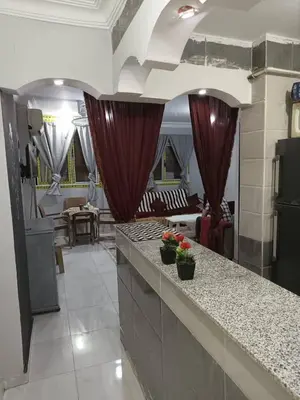 a kitchen with a counter with two plants on it at ايدون هاوس in Aydūn