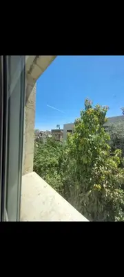 a view of a tree from a window at Central Jabal Alweibdeh in Amman