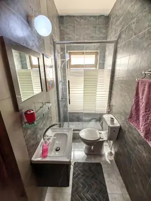 a bathroom with a toilet and a shower and a sink at Khalda One Bedroom Apt in Amman