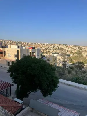 a tree sitting on the side of a street at Sky2 in Jerash