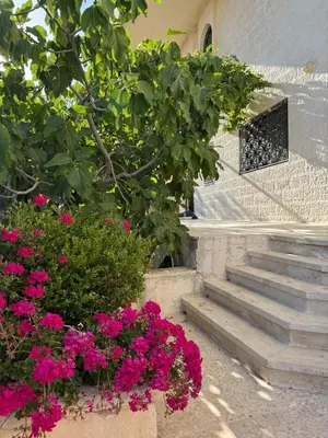 a set of stairs with flowers in front of a building at Warm 1BR in Dabouq in Amman