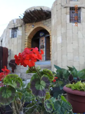 a red flower in front of a building at بيت جدي in Dana