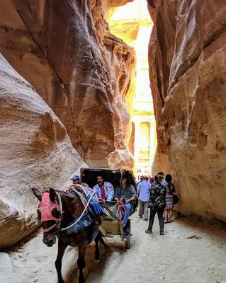 a donkey pulling a cart in a canyon with people at Tourist guide in Al Jafr