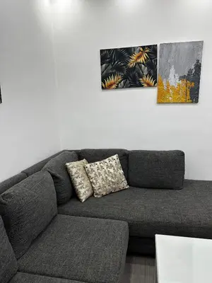 a living room with a couch and two paintings at alrabyeh studio 21 استوديو الرابية in Amman